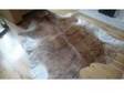 Authentic Cow Hide Rug - Great Condition. Beautiful cow....
