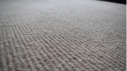 Eco Friendly Carpet Cleaning Services in London | Ibcleansolutions.co.